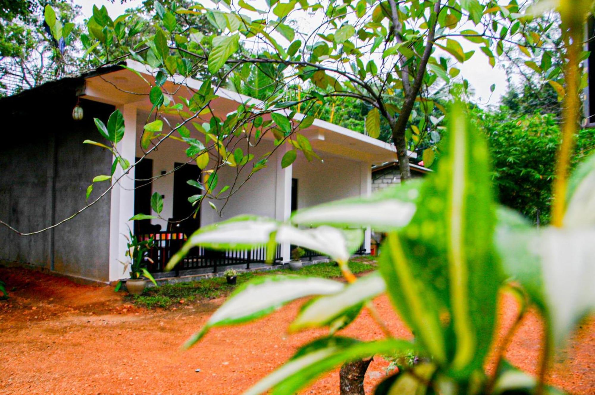 Sigiri Heaven Villa Сигирия Экстерьер фото