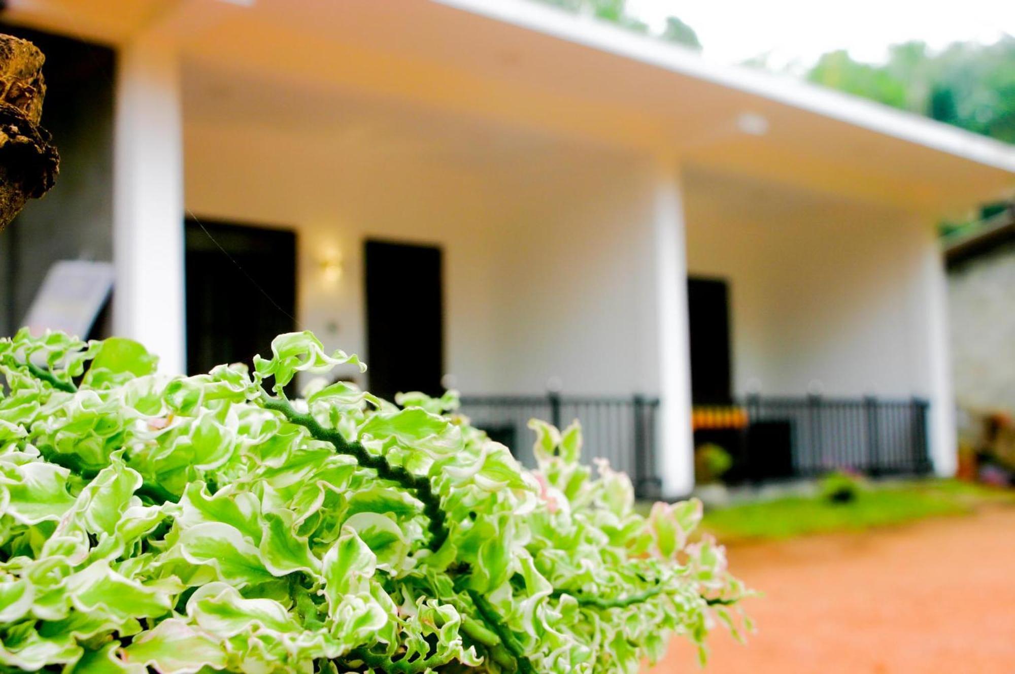 Sigiri Heaven Villa Сигирия Экстерьер фото